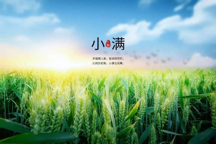 （节气与健康） 小满未满，祛湿防寒